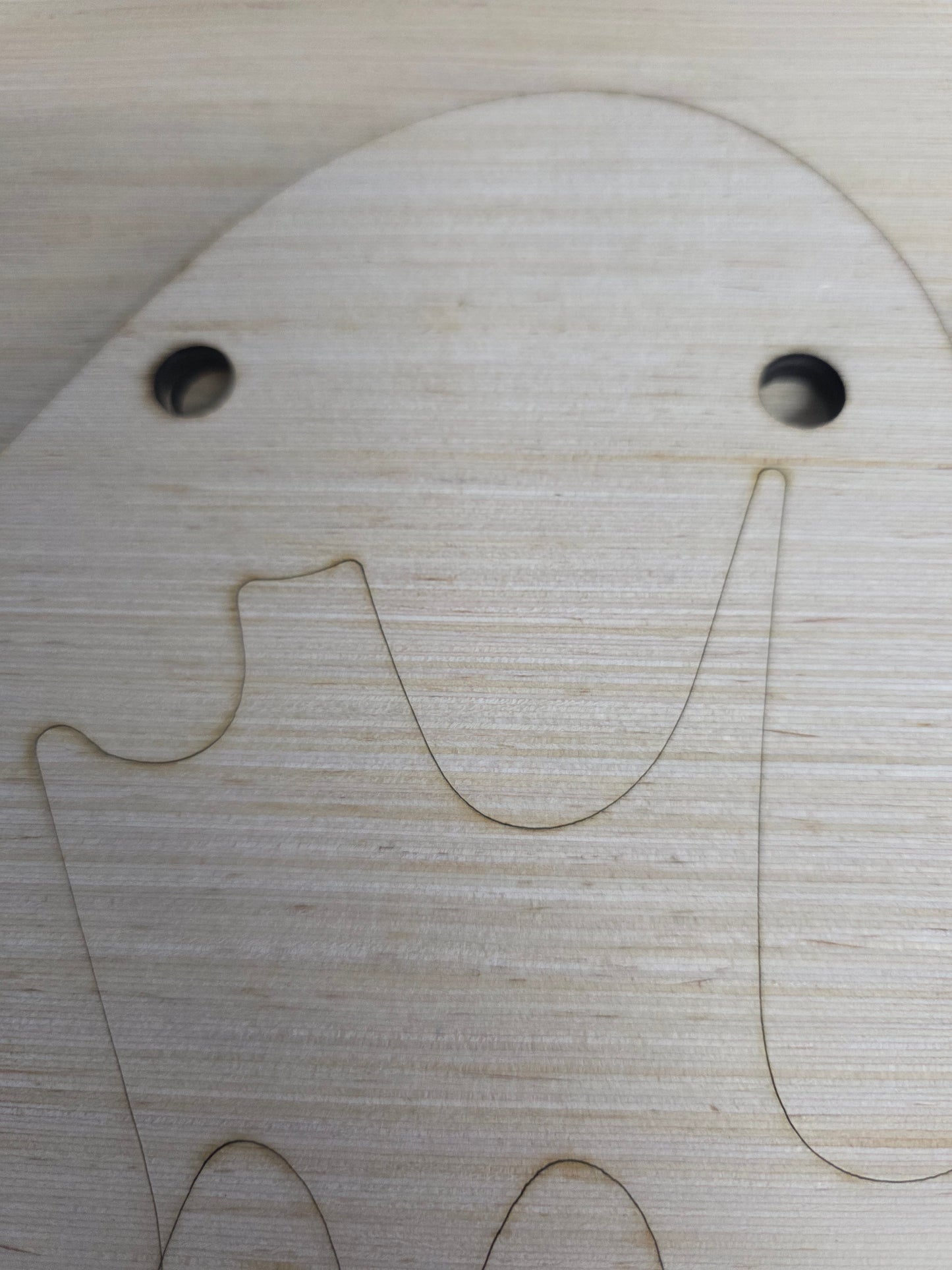 The Misfit Box (Door Hangers)