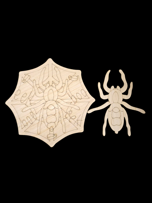 Eek Spider 3D (KW0943D)
