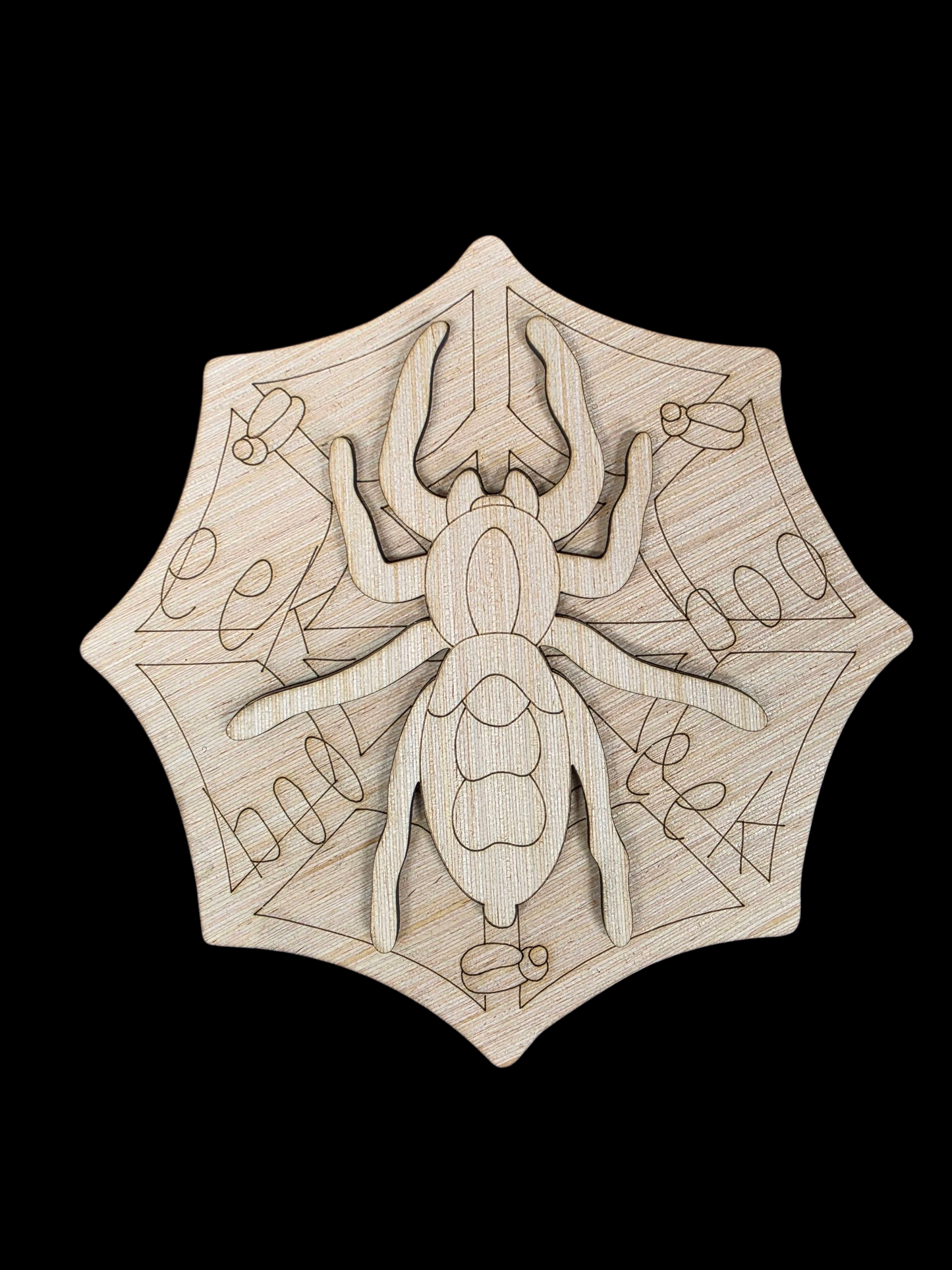 Eek Spider 3D (KW0943D)