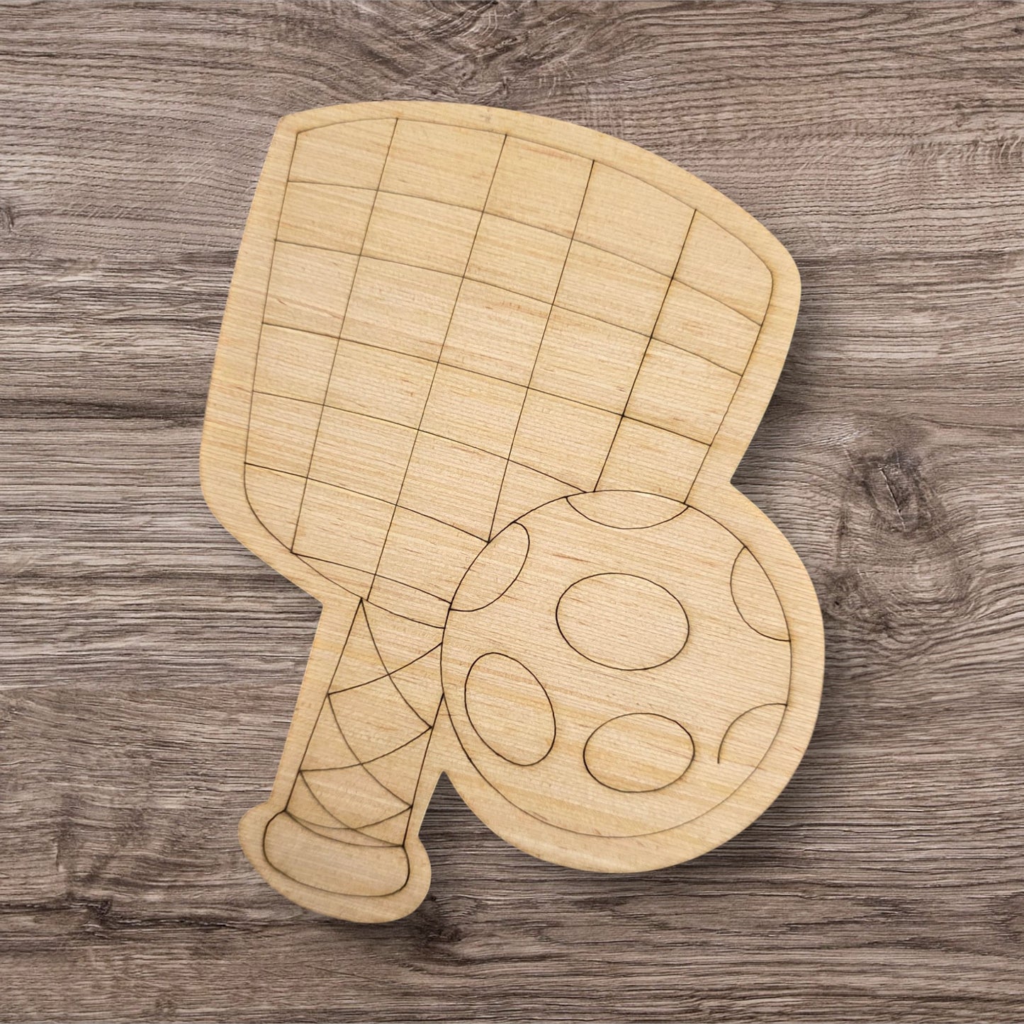 Pickleball (BA050)