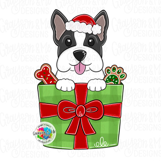 Boston Terrier Xmas (GM090)