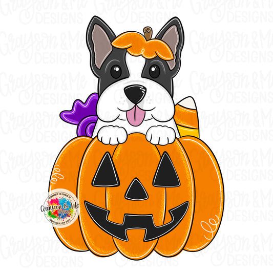 Boston Terrier Pumpkin - Laser Ready SVG