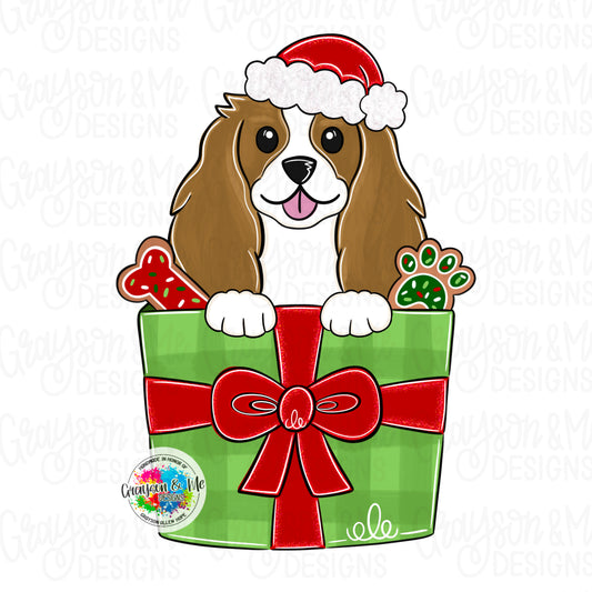 Cavalier Spaniel Christmas Gift (GM074O)