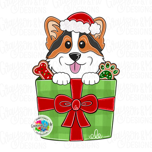 Corgi Christmas Gift (GM084)