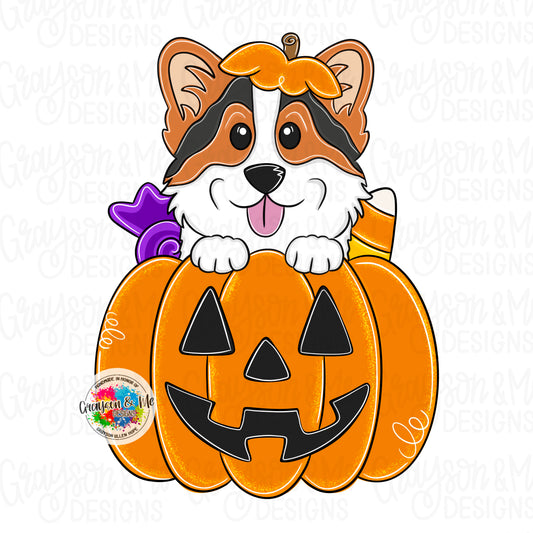 Corgi Pumpkin (GM061)
