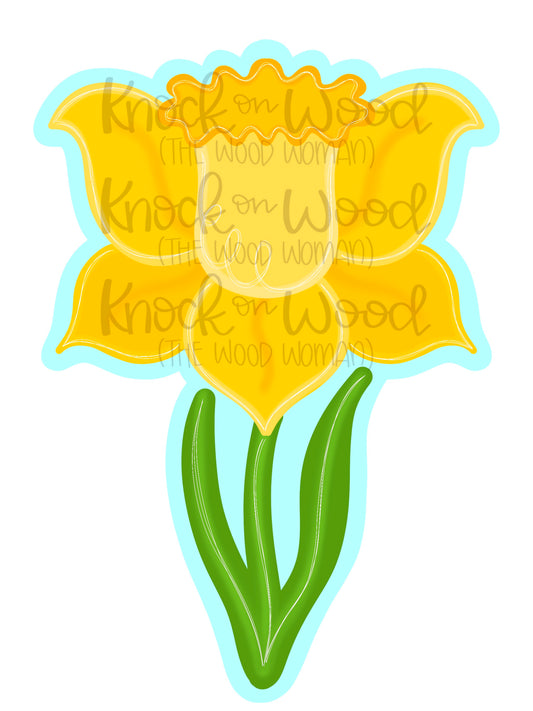 Daffodil (KW062)