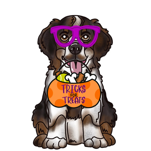 Tricks For Treats Saint Bernard (MJ030)