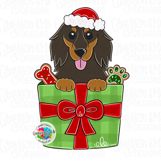Long Hair Dachshund Christmas Gift (GM075O)