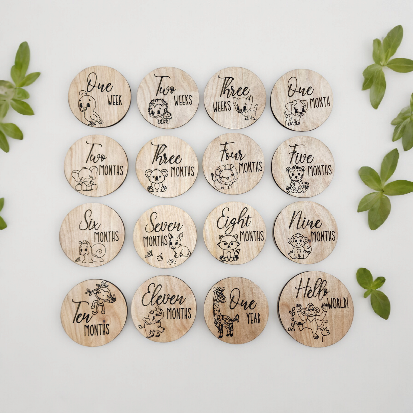 Baby Animal Baby Monthly Milestone Photo Markers