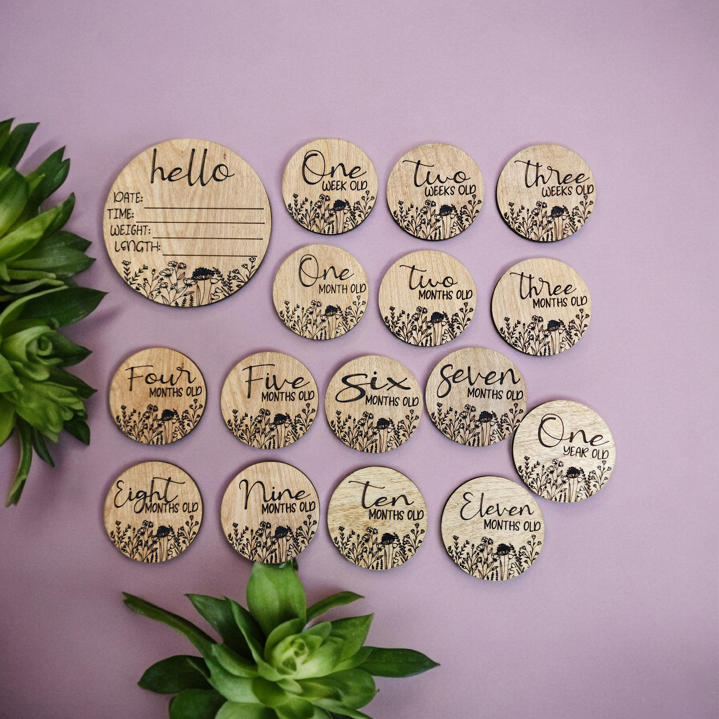 Wildflower Monthly Milestone Photo Markers