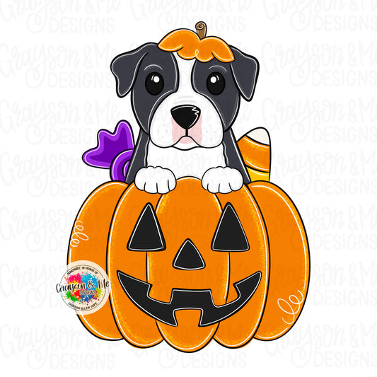 Pitbull Pumpkin - Laser Ready SVG