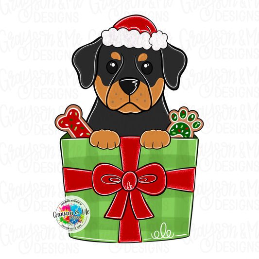 Rottweiler Xmas Ornament (GM095-O)