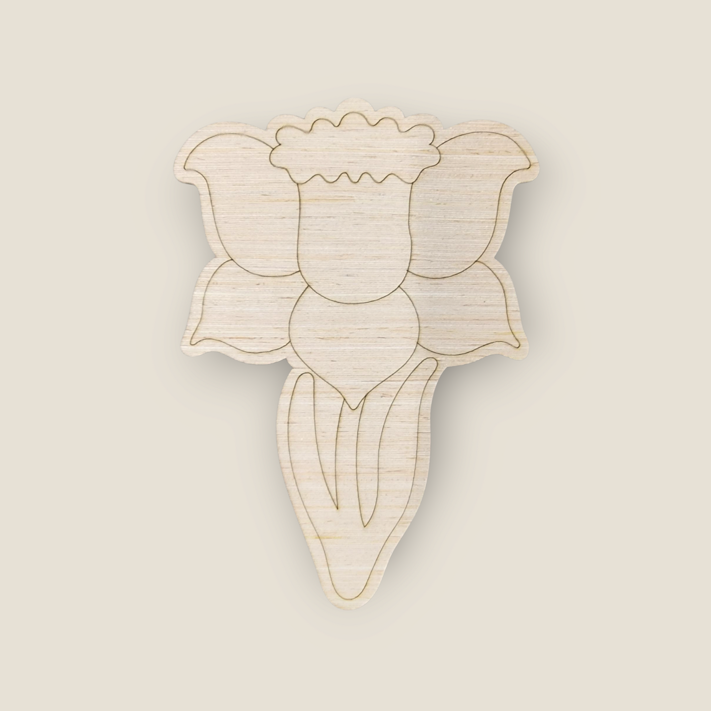 Daffodil (KW062)