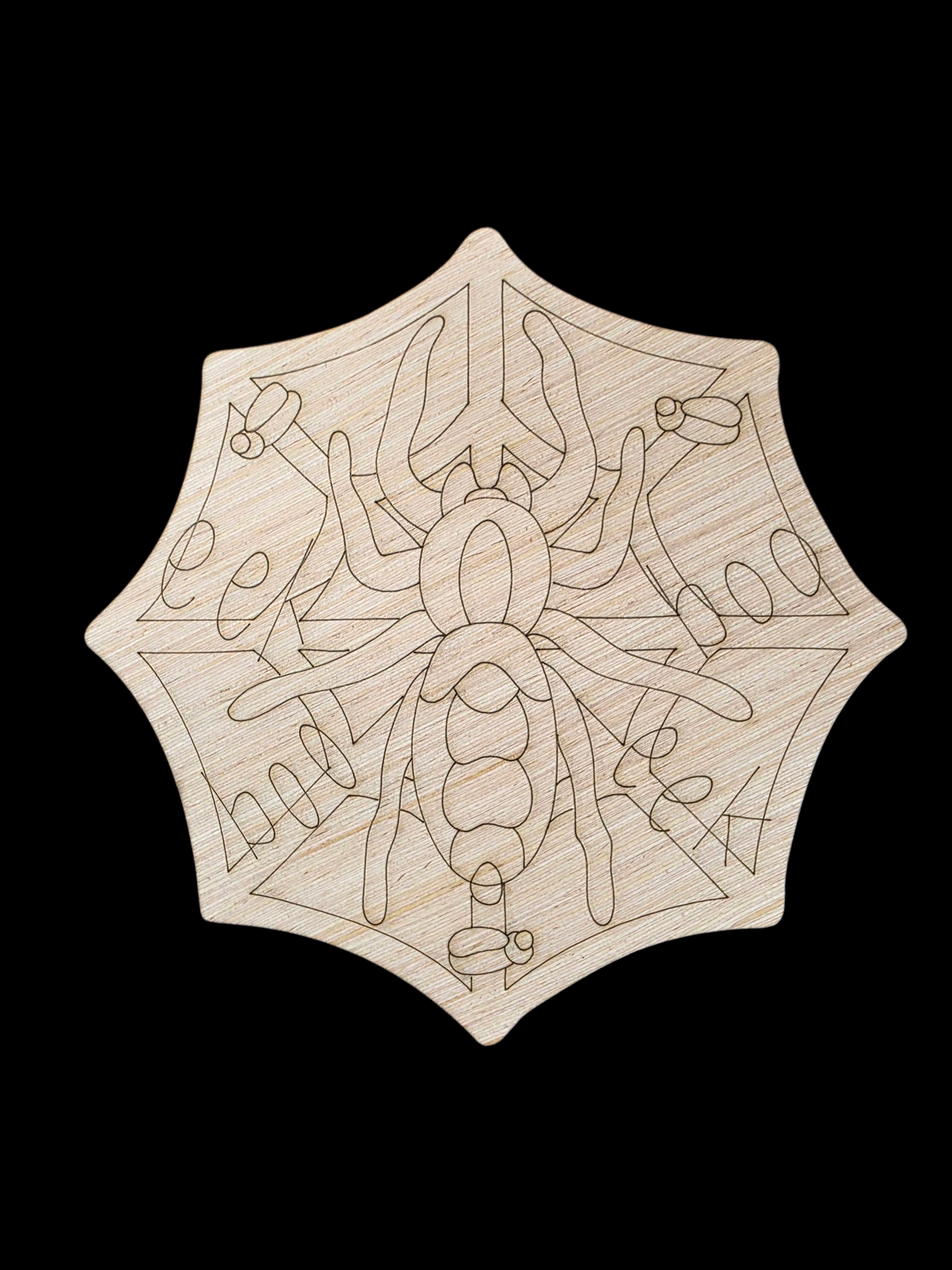 Eek Spider (KW094)