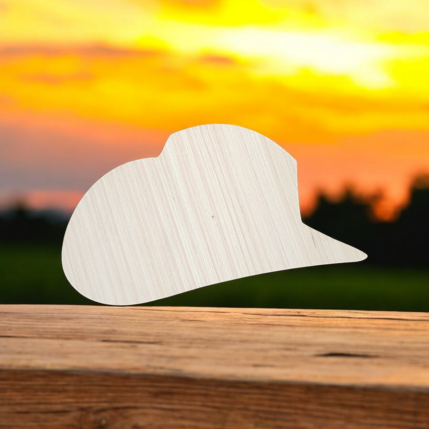Cowboy Hat #2 (BC023)