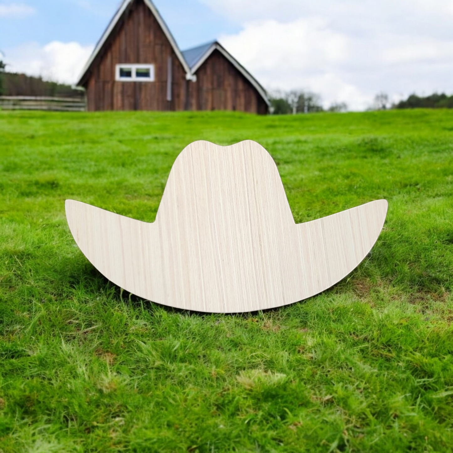 Cowboy Hat #1 (BC022)