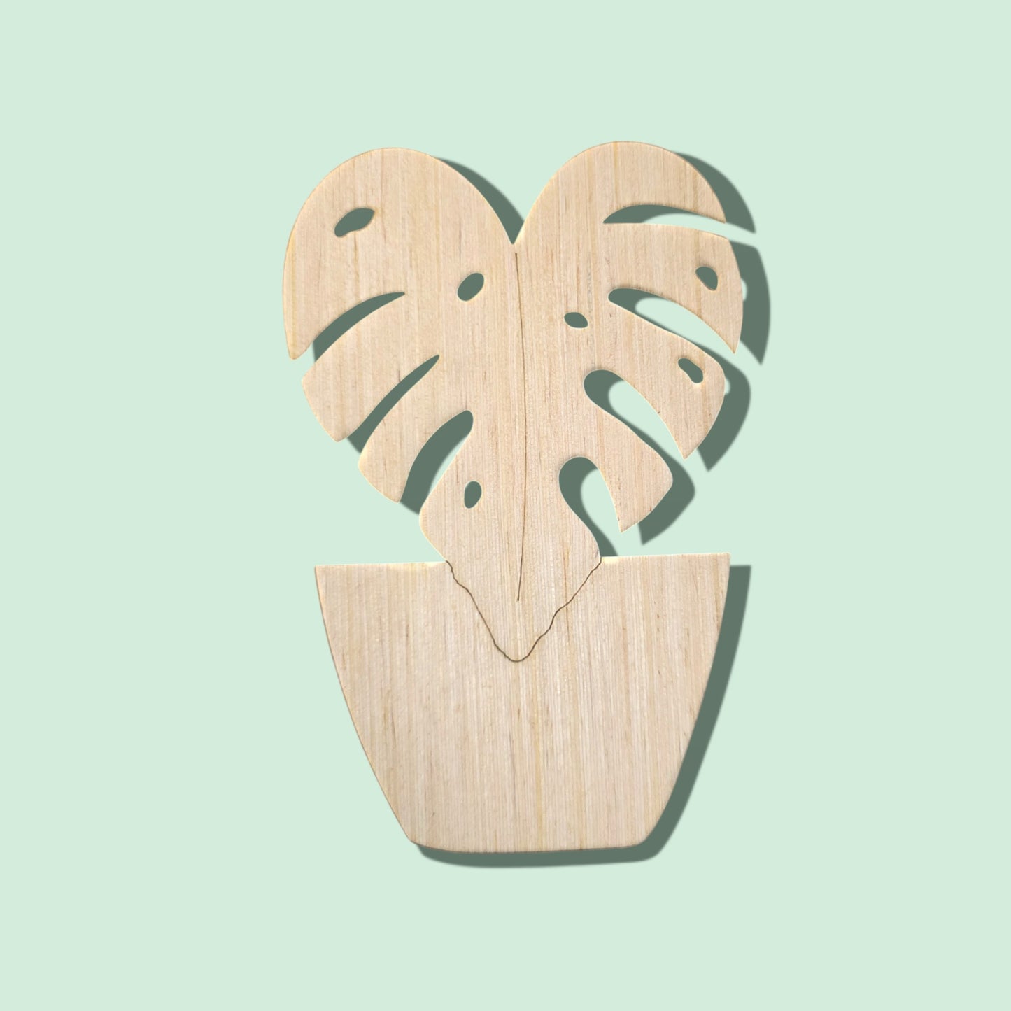 Monstera Plant Leaf (WP0051)