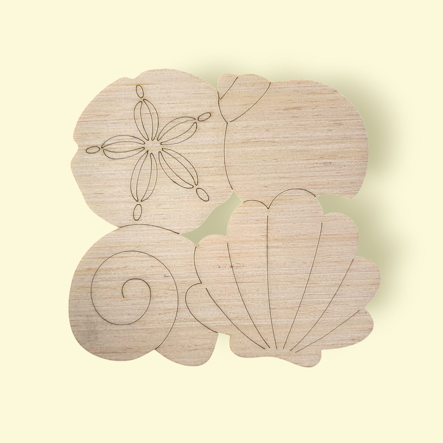 Seashells (CK011)