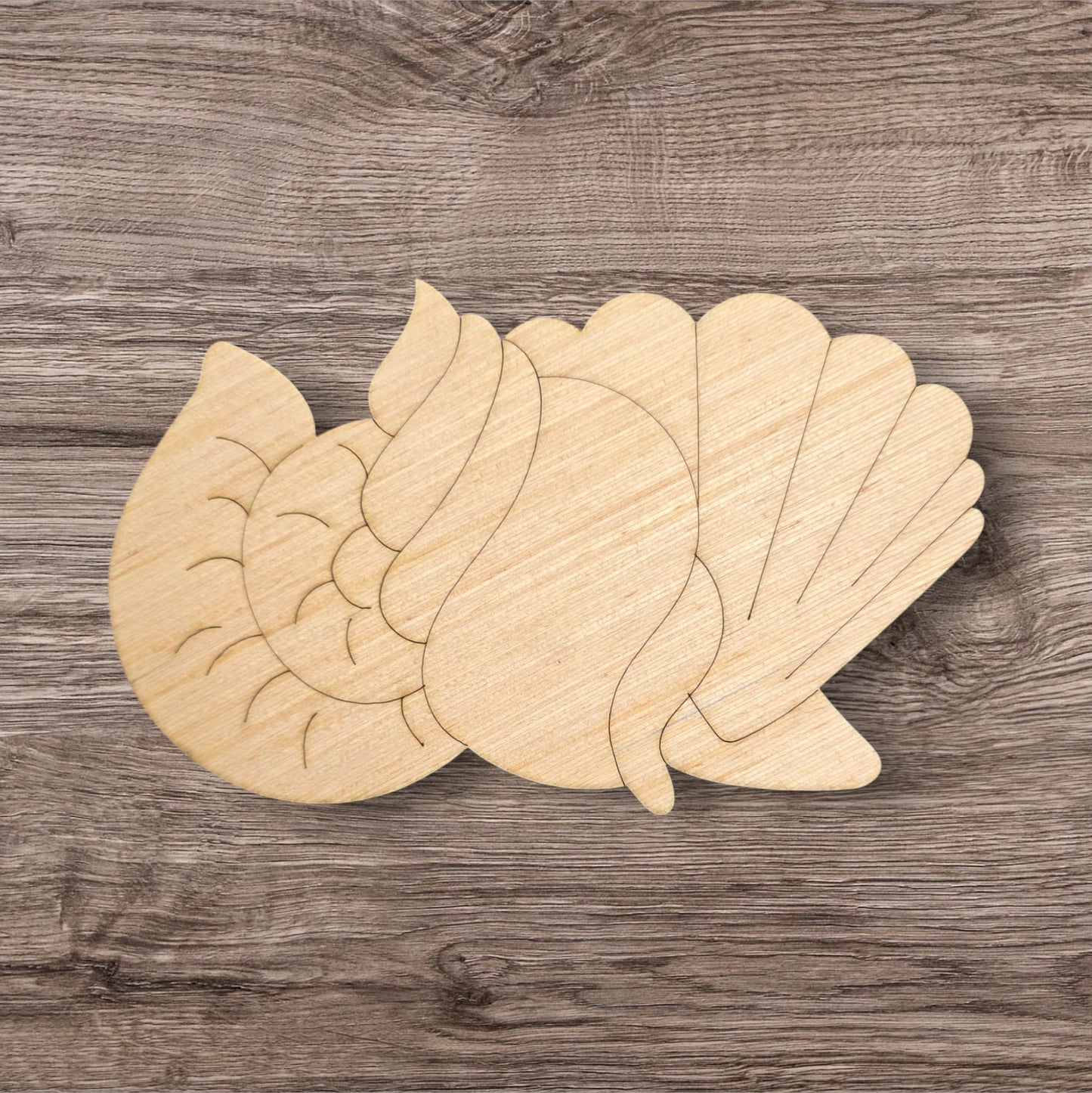 Seashells (KA076-B)