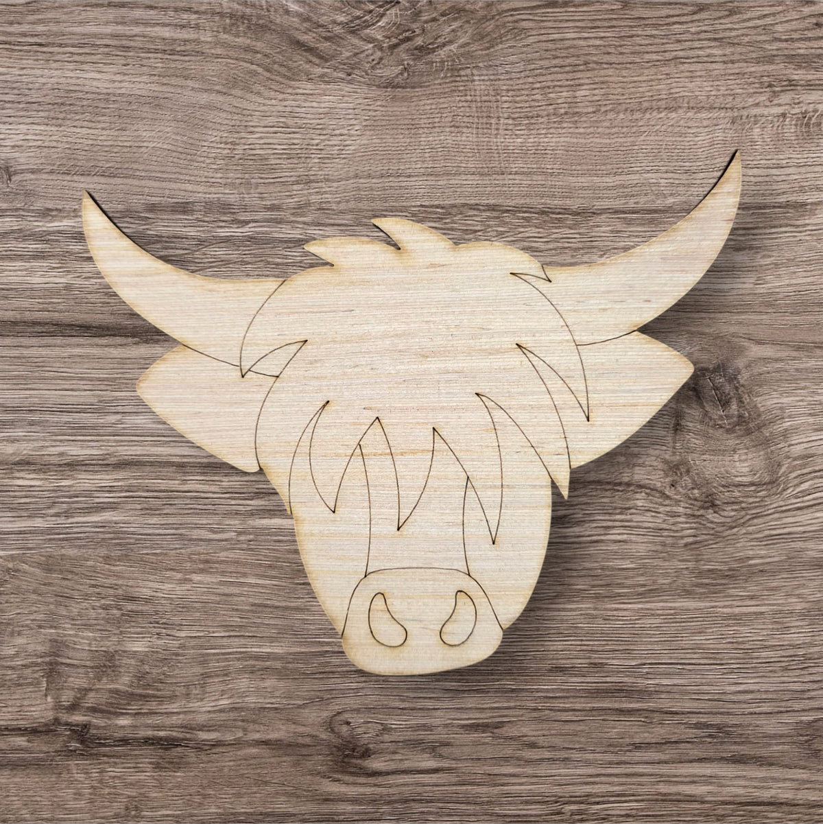 Highland Cow (HA023)