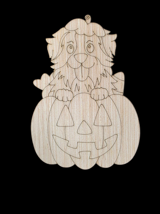 Aussie Pumpkin (GM064)