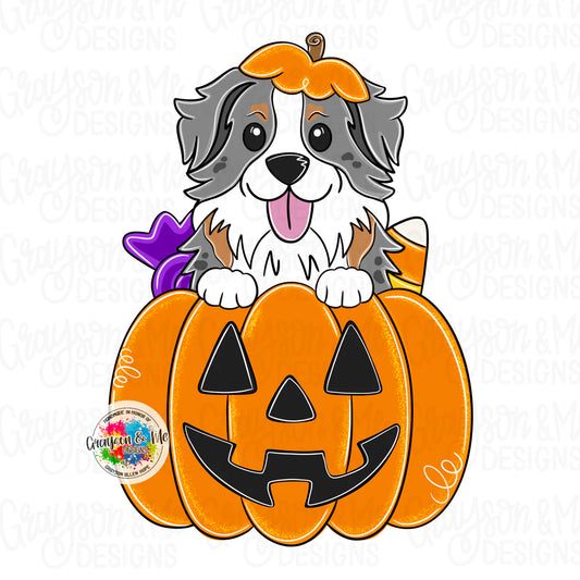 Aussie Pumpkin - Laser Ready SVG