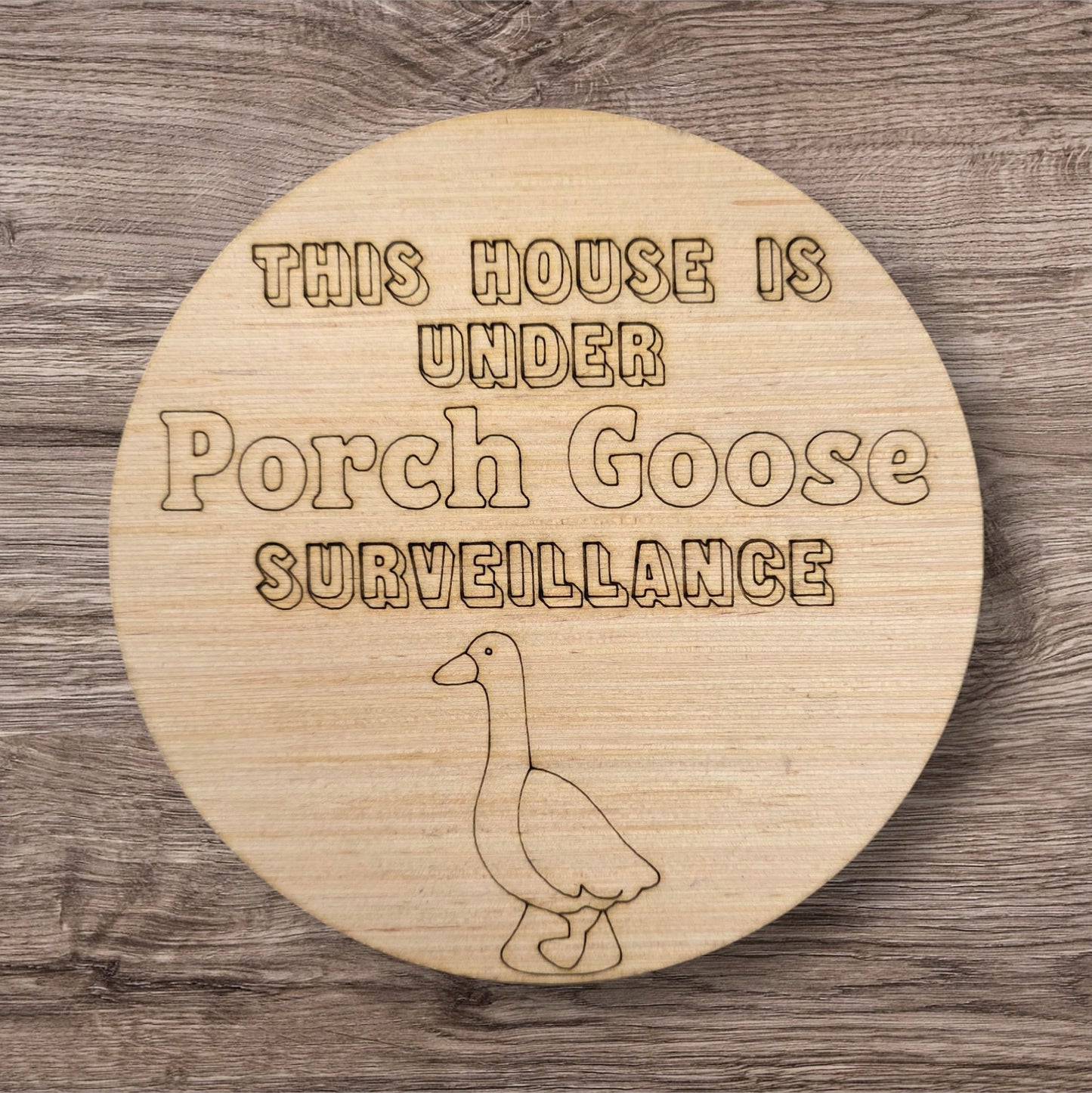 Porch Goose Surveillance (BA126)