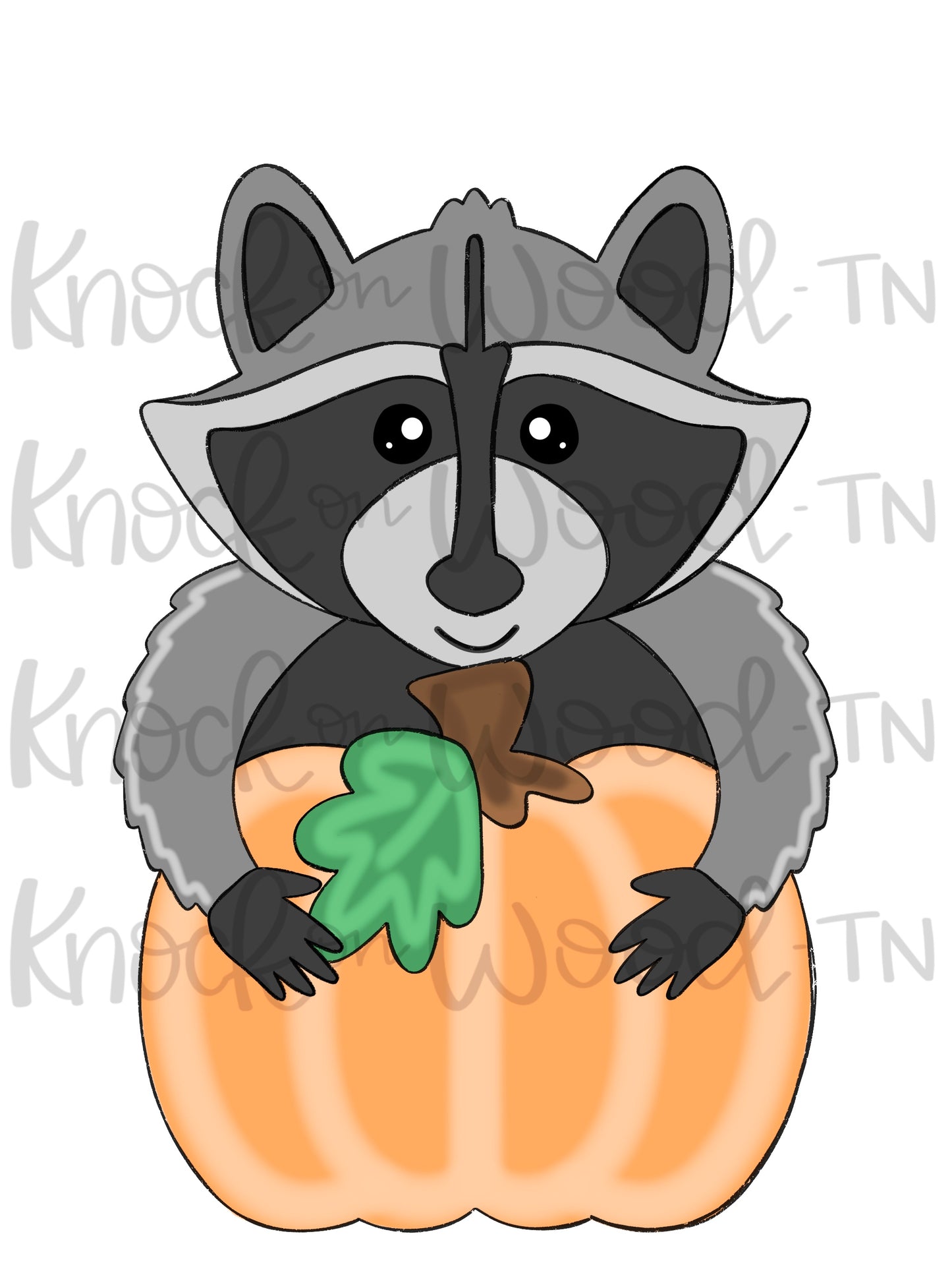 Racoon (KW110)