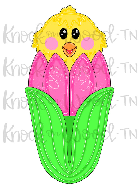 Tulip Chick (KW140)