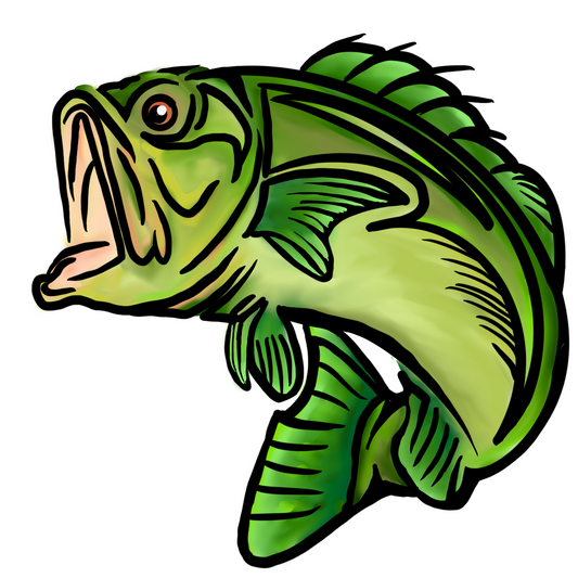 Bass (HA007)