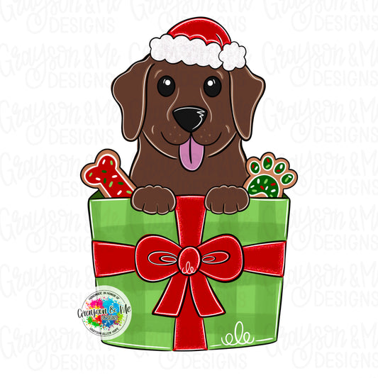 Lab Christmas Gift (GM076)