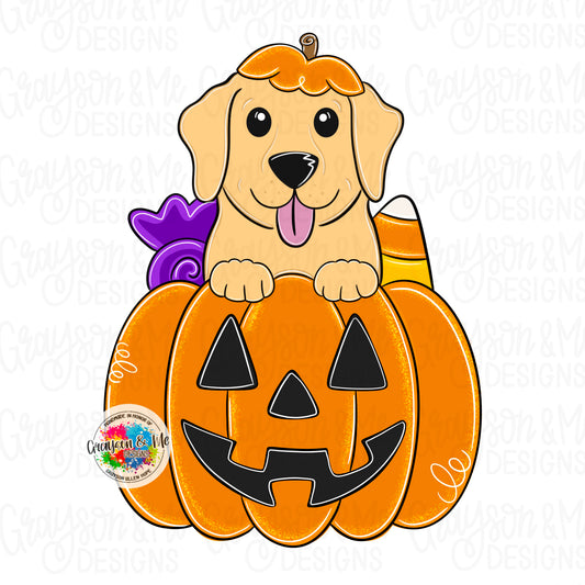 Lab Pumpkin (GM067)