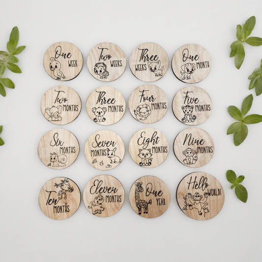 Baby Animal Baby Monthly Milestone Photo Markers - SALE - FREE SHIPPING