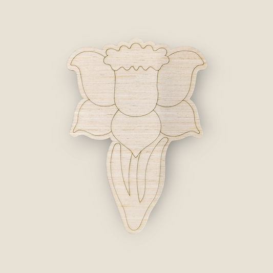 Daffodil (KW062)