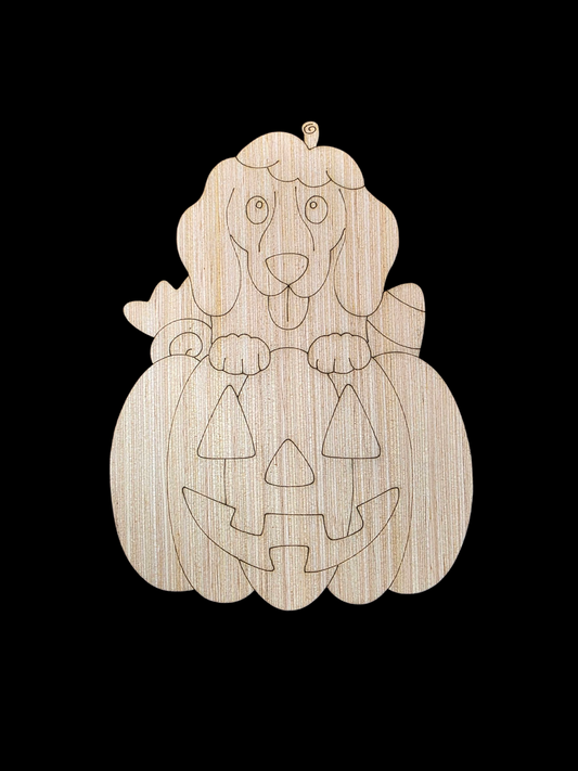 Short Hair Dachshund Pumpkin (GM066)