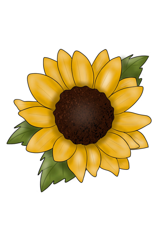 Sunflower (PP048)