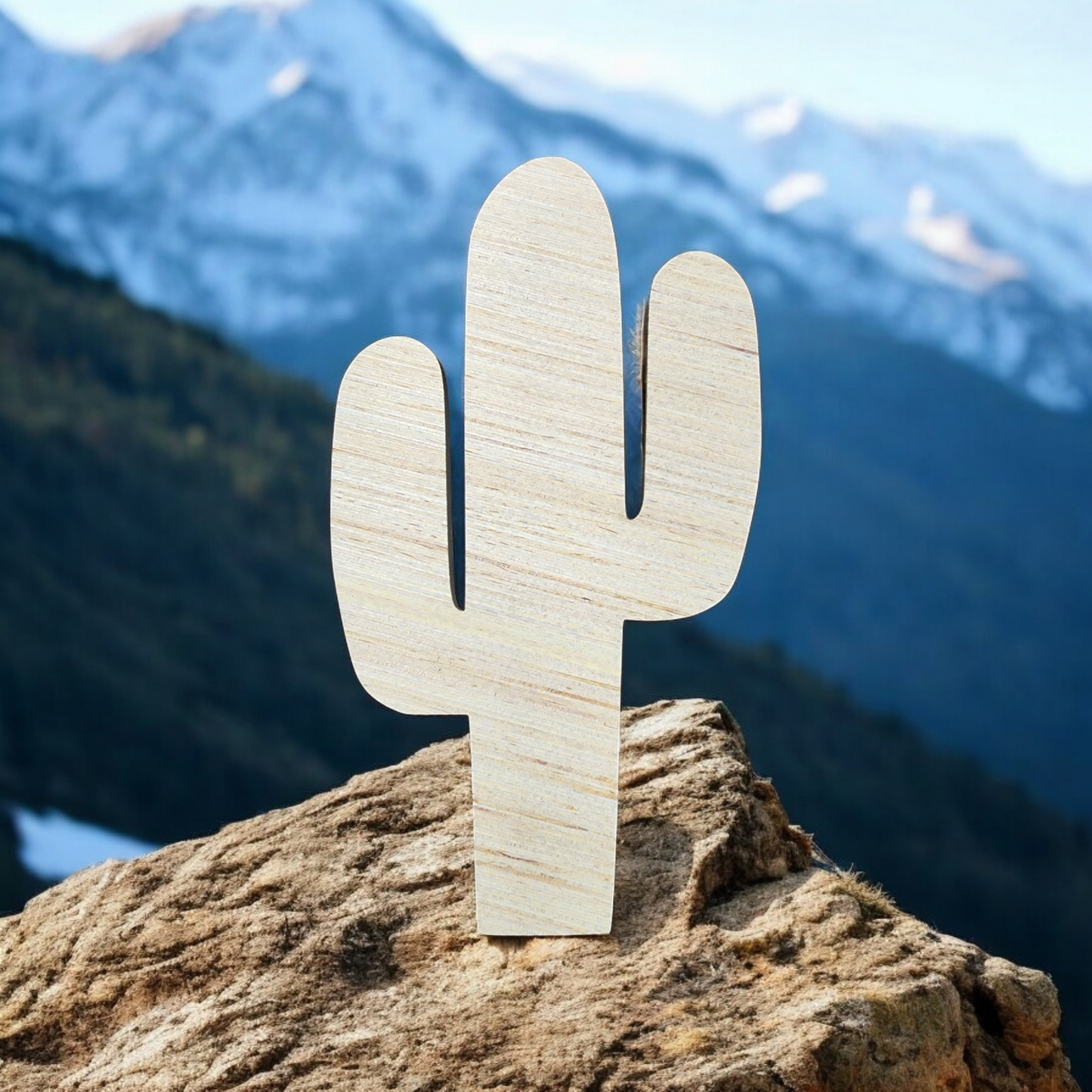 Cactus (BC027)